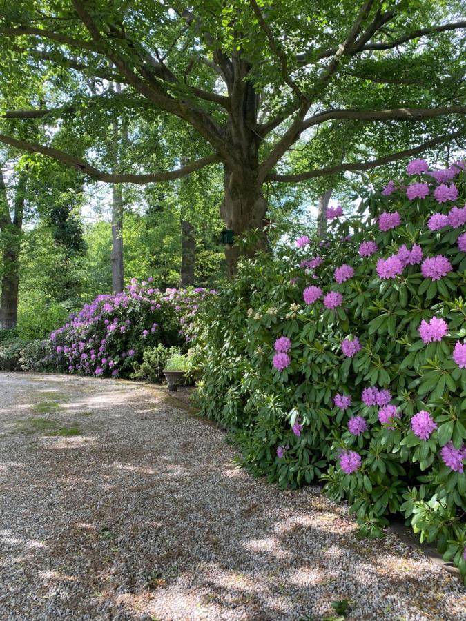 Bed&Breakfast Villa Beldershoek Hengelo  Esterno foto